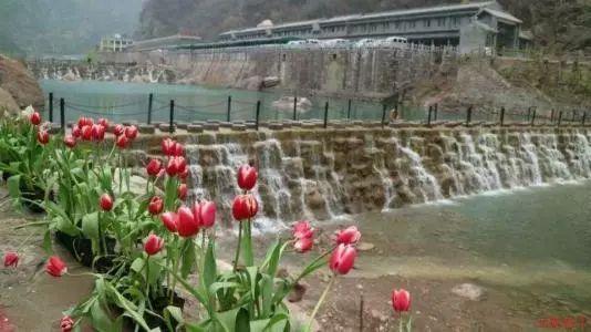 冰球突破游戏网站